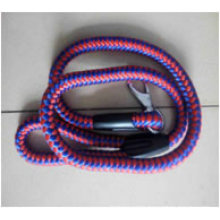 Pets Reflective Safety Products, The Huge Dog Leashes, The Nylon Rope of Pets Leashes (D263)